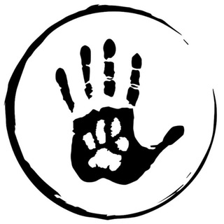 Telegram profile photo for Как дела у тигруль?