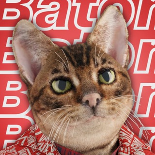 Telegram profile photo for Baton