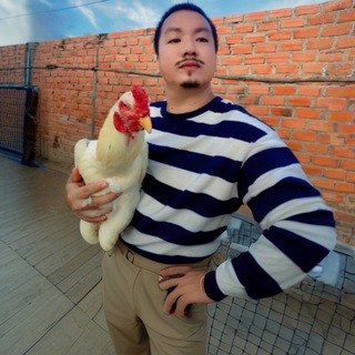 Telegram profile photo for Blue Home Farm Official