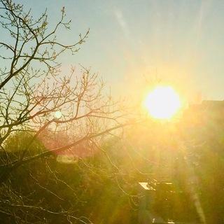 Telegram profile photo for ☀️Lichtbothe-mediale Heilimpulse☀️