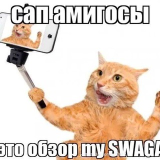 Telegram profile photo for qasert