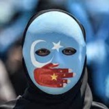 Telegram profile photo for Meme