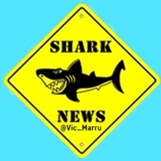Telegram profile photo for 📰📈 SHARK NEWS 📉📆