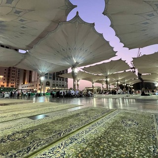 Telegram profile photo for القَلب المُنيب