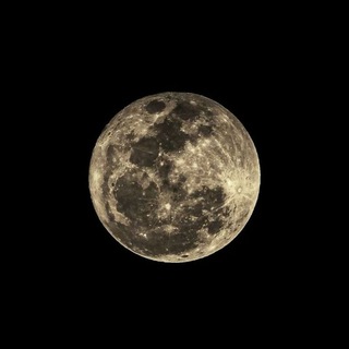 Telegram profile photo for 🌙