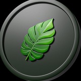 Telegram profile photo for Swing DAO - Welcome to The Jungle