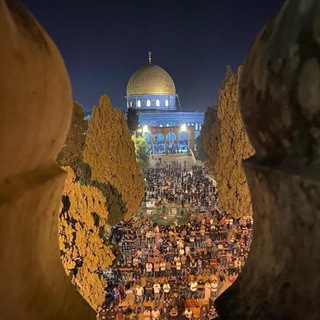 Telegram profile photo for أدهم شرقاوي، أيمن العتوم
