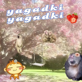 Telegram profile photo for Ягадки ягадки 🌸🫐