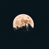 Telegram profile photo for عـتب .