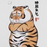 Telegram profile photo for 深圳胖虎每日更新频道