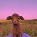 Telegram profile photo for вечно голодные🎯