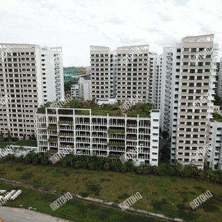Telegram group profile photo for Punggol BTO | BTOHQ
