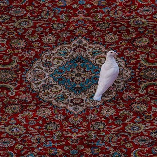Telegram profile photo for ``حُبِّ مُعتّقْ~~