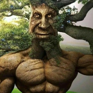 Telegram profile photo for Gang of Wise Mystic Trees 🌳 | Gang of WMT 🌳