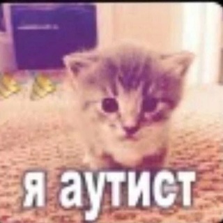 Telegram profile photo for Проклятое дно телеграмма