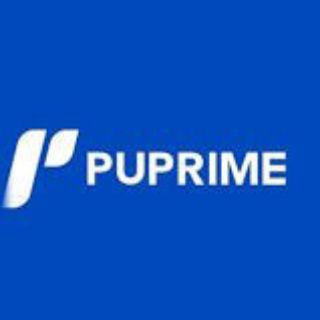 Telegram profile photo for PU Prime Trading signals
