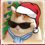 Telegram profile photo for Хз что писать
