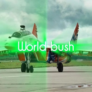 Telegram profile photo for World bush