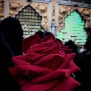 Telegram profile photo for نَسيمُ الكَافِل .