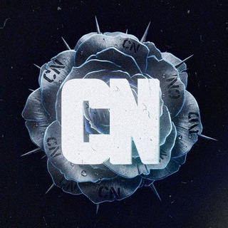 Telegram profile photo for CN