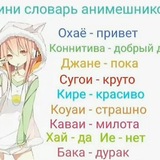 Telegram profile photo for пиццерия спб