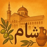 Telegram profile photo for Жизнь в ШАМе (Сирия)