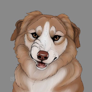 Telegram profile photo for Охотничий таббет
