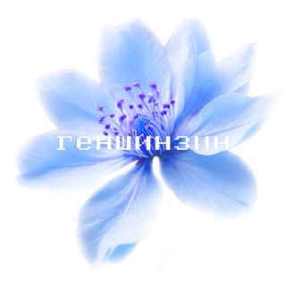 Telegram profile photo for геншинзин.