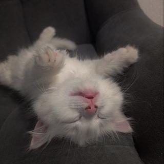 Telegram profile photo for ручение от нюты