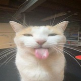 Telegram profile photo for Dias / БЛОГ
