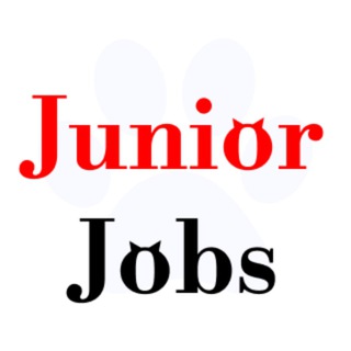 Telegram profile photo for Jobs for IT Junior specialists