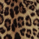 Telegram profile photo for ready-made (mood/storyboard, manips, etc)