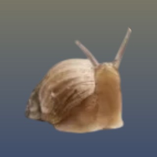 Telegram profile photo for Гость 442