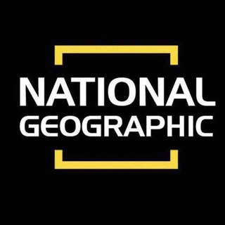 Telegram profile photo for National Geographic Magazine