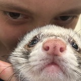 Telegram profile photo for Юрий хорь и компания