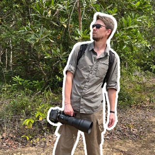 Telegram profile photo for BIRDS-N-ROLL