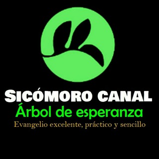 Telegram profile photo for Excelente, práctico, sencillo...