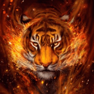 Telegram profile photo for Collection Shem Na Ami