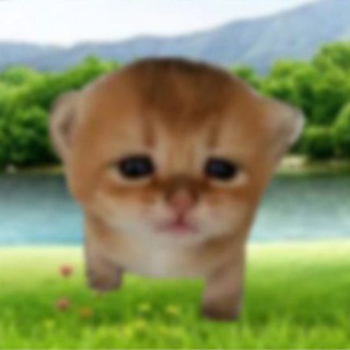 Telegram profile photo for Сода