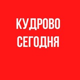 Telegram profile photo for КУДРОВО | СЕГОДНЯ