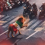 Telegram profile photo for آموزش مبارزه خیابانی
