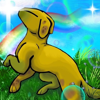Telegram profile photo for Не бейте меня пожалуйста
