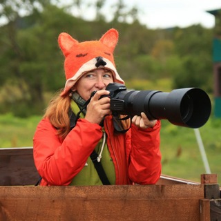 Telegram profile photo for Высунь нос из норы🦊