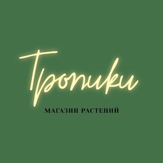 Telegram profile photo for @tropiki_perm