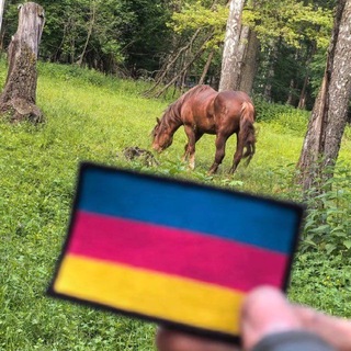 Telegram profile photo for Шаблоны чуба
