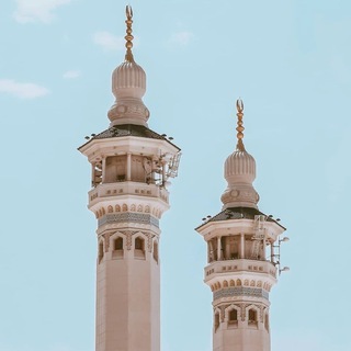 Telegram profile photo for فيديوهات قرآنية 🎧.
