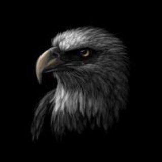 Telegram profile photo for YM BACKUP