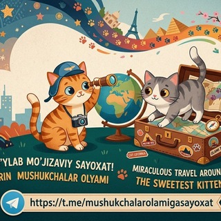 Telegram profile photo for mushukchalarolamigasayoxat