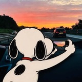 Telegram profile photo for ⋆. 🌀 ˚ Katalog foto ๋ ࣭