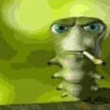 Telegram profile photo for newfag@420blaze.it